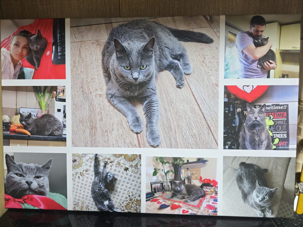 Image #2 from Radu Anda