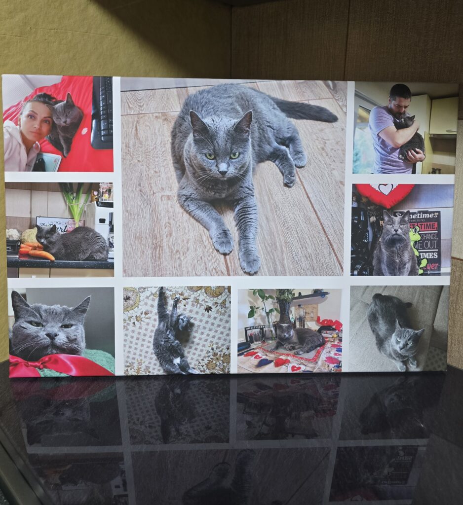 Image #1 from Radu Anda