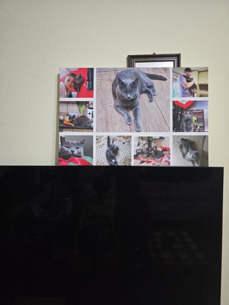 Image #3 from Radu Anda